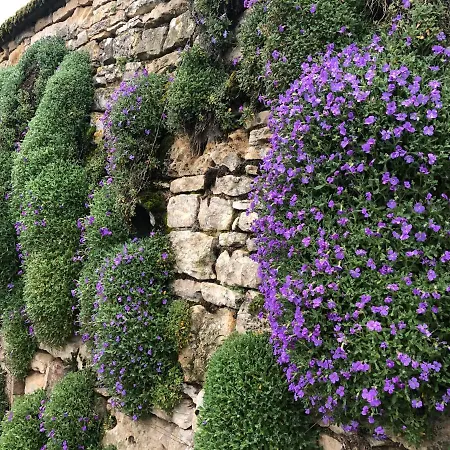 Mas Sarrat Oda ve Kahvaltı Lherm (Lot)